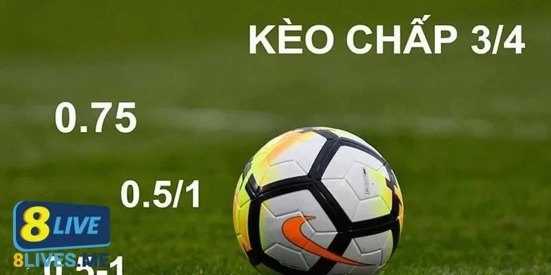 Các loại tỷ lệ kèo bóng đá như một ngôn ngữ chiến thuật