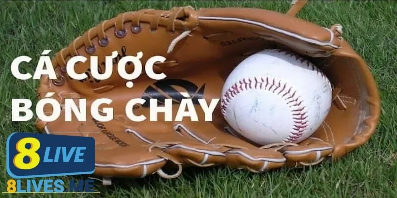 Chọn lựa nhà cái cá cược bóng chày an toàn và uy tín