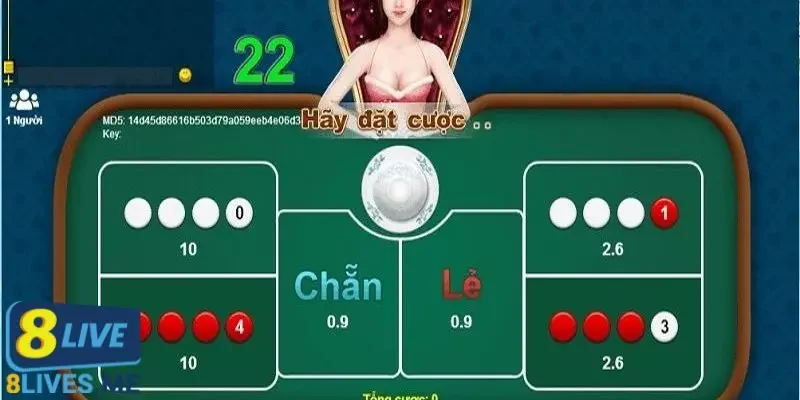 Quy tắc cần nắm trong cách chơi xóc đĩa